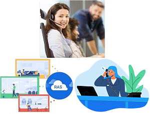 P550 Standard License