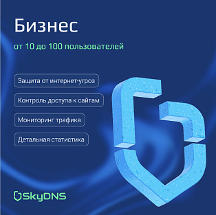 Сервис SkyDNS.Бизнес